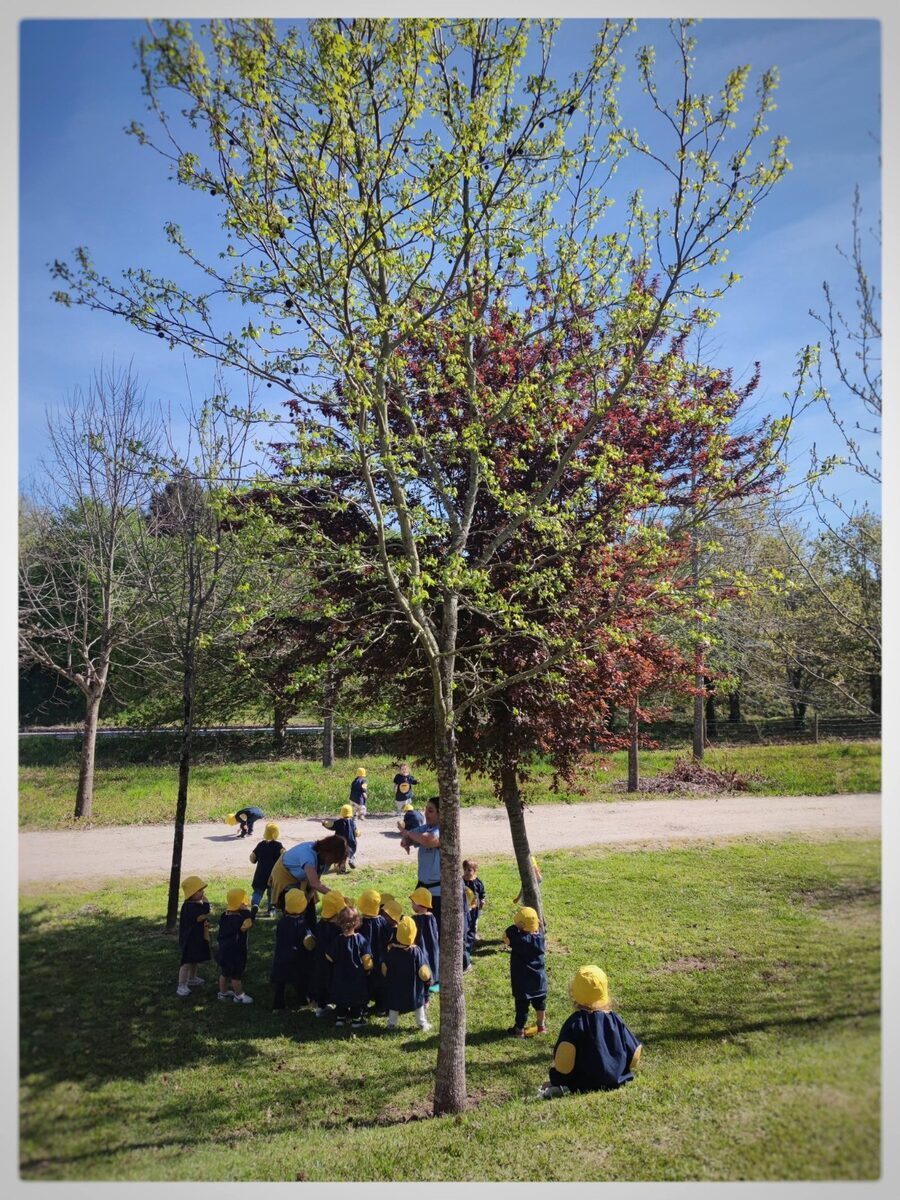 Crianças da Creche num passeio ao parque, reunidas junto a uma árvore